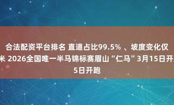 合法配资平台排名 直道占比99.5% 、坡度变化仅1米 2026全国唯一半马锦标赛眉山“仁马”3月15日开跑