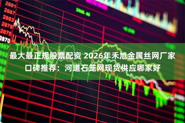 最大最正规股票配资 2026年禾旭金属丝网厂家口碑推荐：河道石笼网现货供应哪家好