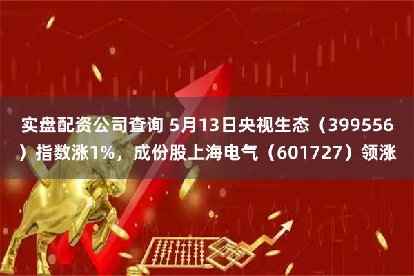 实盘配资公司查询 5月13日央视生态（399556）指数涨1%，成份股上海电气（601727）领涨