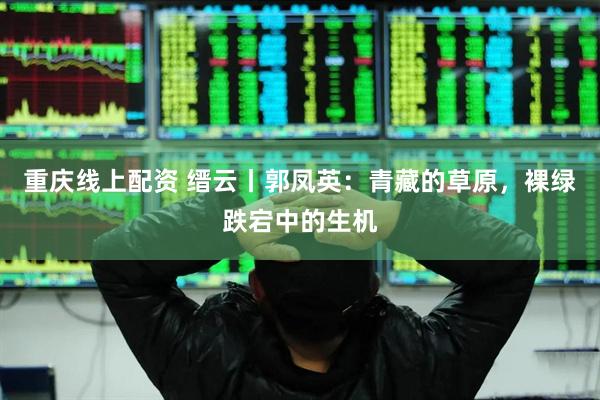 重庆线上配资 缙云丨郭凤英：青藏的草原，裸绿跌宕中的生机