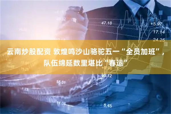 云南炒股配资 敦煌鸣沙山骆驼五一“全员加班”，队伍绵延数里堪比“春运”