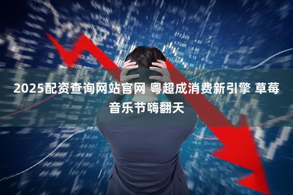 2025配资查询网站官网 粤超成消费新引擎 草莓音乐节嗨翻天